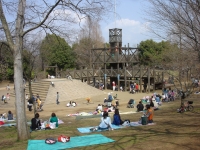 千葉県立柏の葉公園