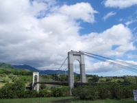 風の吊り橋
