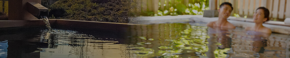 水上,猿ヶ京,沼田 カップル・夫婦プランのある口コミ高評価の温泉旅館・ホテル