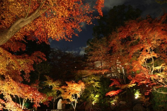 21年11月 紅葉 見ごろ 長岡天満宮 錦景苑情報と近くのホテル 旅館 Biglobe旅行