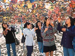 年08月 浅間園 ぶどう狩り情報と近くのホテル 旅館 Biglobe旅行