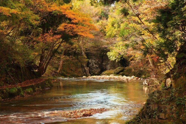 22年10月 紅葉 見ごろ 岨谷峡情報と近くのホテル 旅館 Biglobe旅行