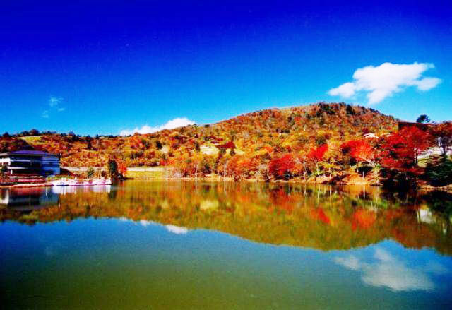 年10月 紅葉 見ごろ 茶臼山高原情報と近くのホテル 旅館 Biglobe旅行