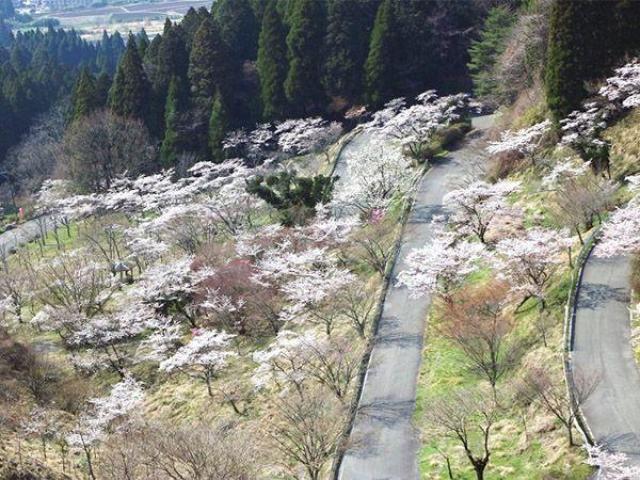 月廻り温泉館 の日帰り施設 Biglobe旅行