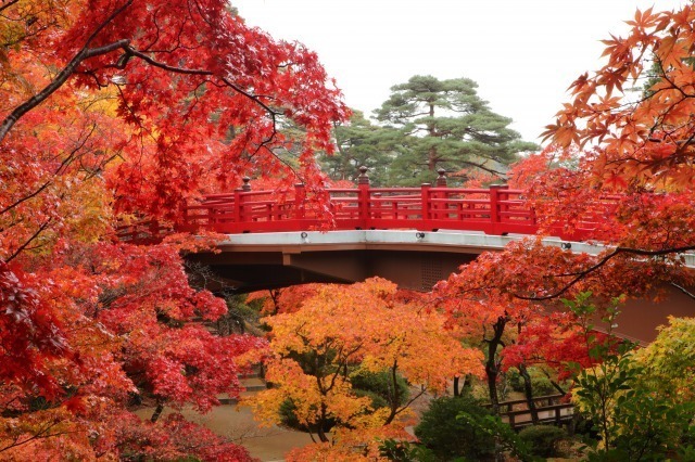 22年10月 紅葉 見ごろ 弥彦公園情報と近くのホテル 旅館 Biglobe旅行