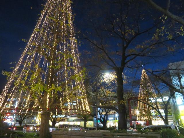 2023年12月 国立駅前大学通りクリスマスイルミネーション情報と近くの