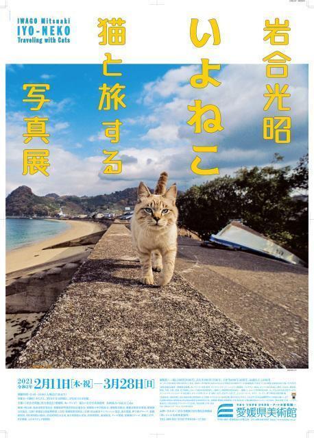 21年02月 岩合光昭 いよねこ 猫と旅する写真展情報と近くのホテル 旅館 Biglobe旅行