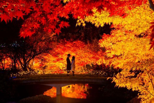 22年11月 紅葉 見ごろ なばなの里 錦秋の絶景情報と近くのホテル 旅館 Biglobe旅行