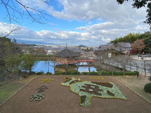 21年04月花 植物のイベント 情報と近くのホテル 旅館 Biglobe旅行