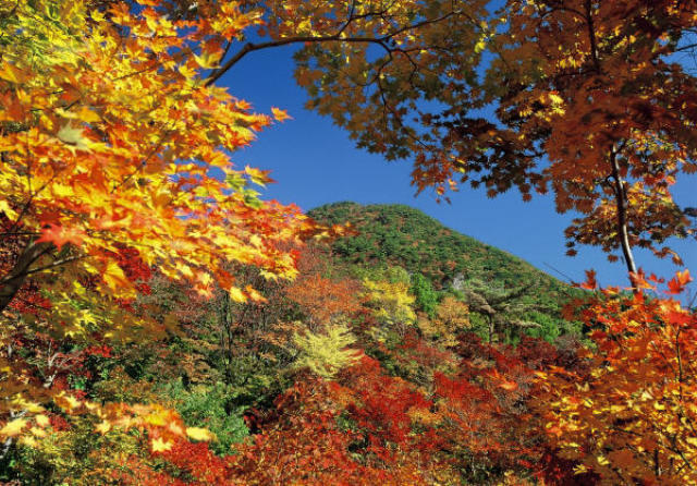 年10月 紅葉 見ごろ 紅葉山情報と近くのホテル 旅館 Biglobe旅行