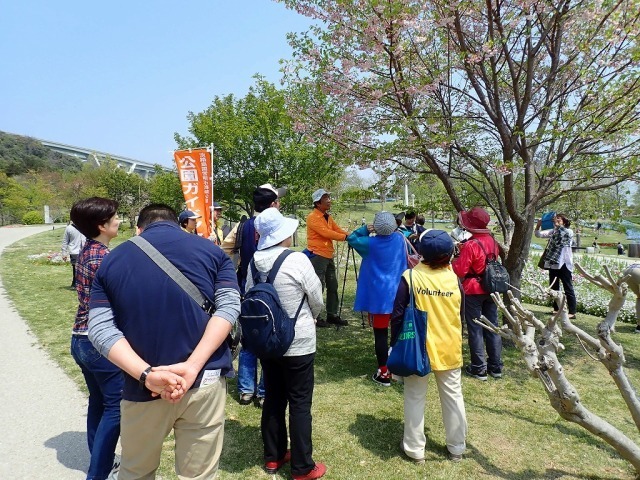 21年03月 淡路島国営明石海峡公園 公園ボランティアとゆく フラワーガイドツアー情報と近くのホテル 旅館 Biglobe旅行