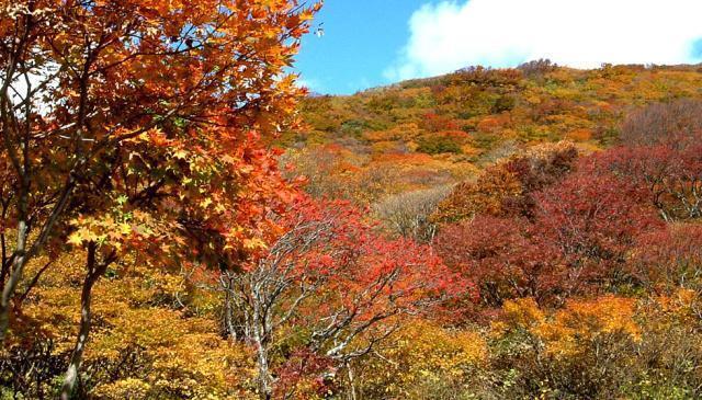 21年10月 紅葉 見ごろ 大佐渡スカイライン情報と近くのホテル 旅館 Biglobe旅行