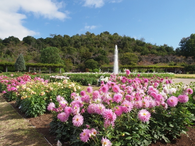 21年09月 明石 加古川 三木イベント情報一覧と近くのホテル 旅館 Biglobe旅行