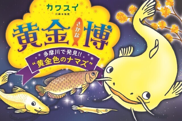 21年04月 黄金さかな博 多摩川で発見 黄金色のナマズ 情報と近くのホテル 旅館 Biglobe旅行