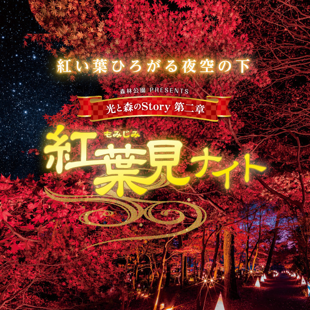 21年11月 森林公園 紅葉見ナイト21情報と近くのホテル 旅館 Biglobe旅行