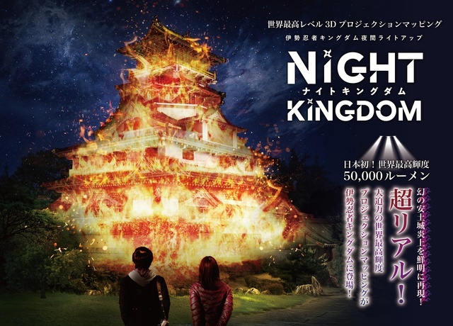 ɐE҃LO_ԃCgAbvNight kingdom