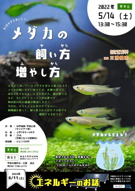 22年05月 科学を楽しもう メダカの飼い方 増やし方 情報と近くのホテル 旅館 Biglobe旅行