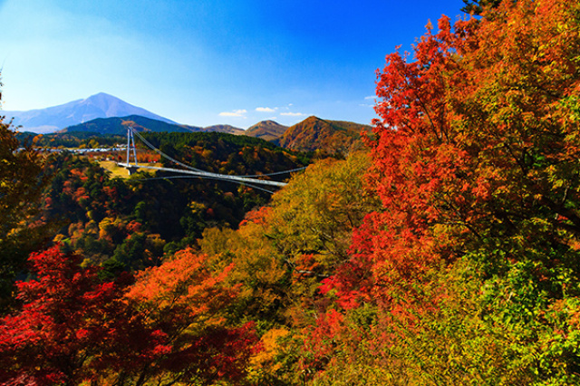 22年10月 紅葉 見ごろ 九重 夢 大吊橋情報と近くのホテル 旅館 Biglobe旅行