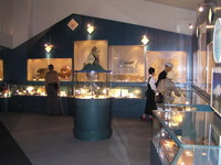 世界の鉱物、化石等を展示する第２展示室