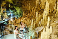「玉泉洞」日本一の鍾乳石数を誇る天然記念物「玉泉洞」は、遥か昔の珊瑚礁から生まれた美しい鍾乳洞