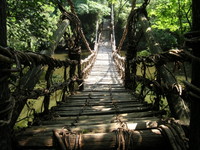 徳島県にある本物の約2分の1の大きさの「かずら橋」
