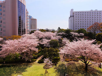 東京の都心とは思えない「日本庭園」