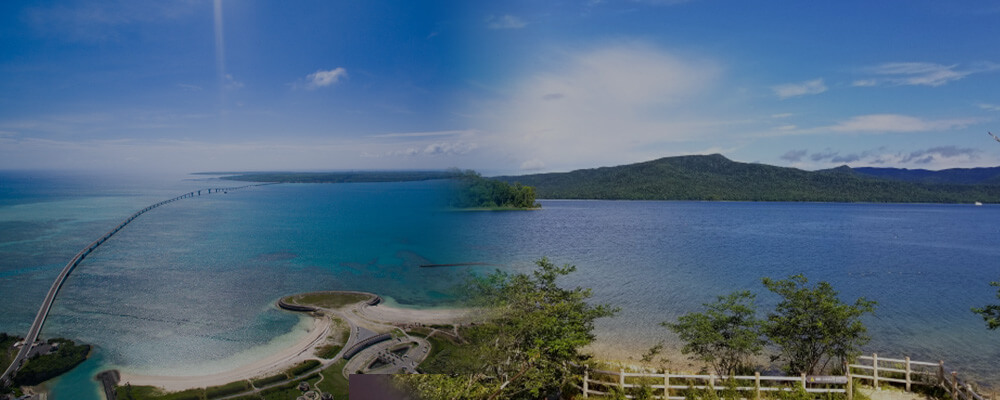 全国 花粉を気にせず楽しめる避粉地（北海道・沖縄）の旅館・ホテル