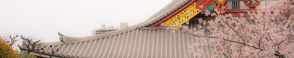 奈良市 訪日外国人をもてなそう！和を堪能できる旅館・ホテル