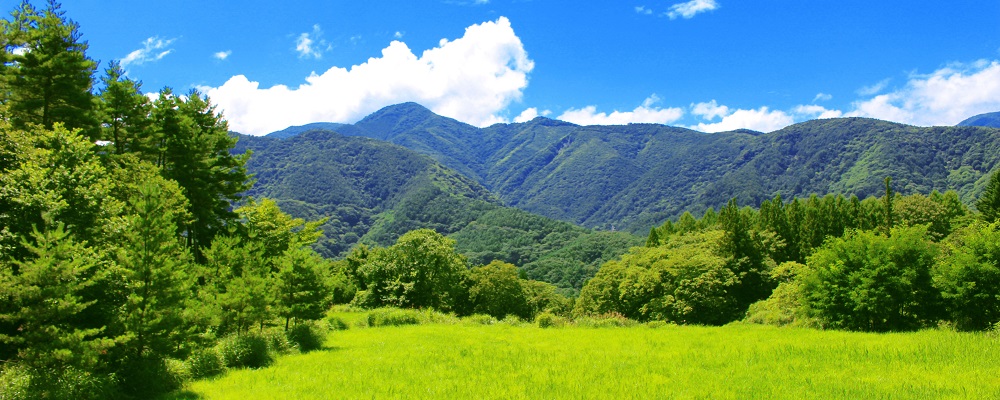 全国 さらに涼しい夏を求める方必見！2024年8月の最高気温が25度以下と予測される宿