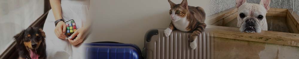 東尾道駅 ペット（猫）と泊まれる旅館・ホテル