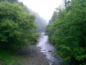 秋川渓谷　瀬音の湯