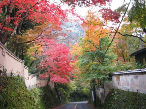 奥湯河原温泉 神奈川県 のアクセス 泉質 温泉地情報をチェック Biglobe旅行