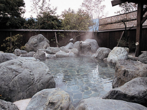 富士西湖温泉　いずみの湯