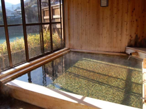 十津川温泉　庵の湯