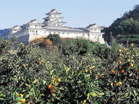 湯浅温泉　湯浅城