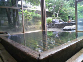 鳥取県 行ってよかった 人気の温泉ランキング 21