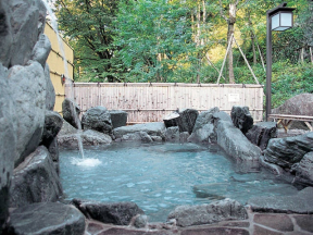祖谷渓温泉ホテル　秘境の湯