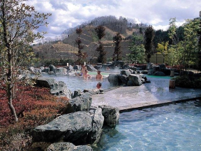 茨城県 行ってよかった 人気の温泉ランキング 22