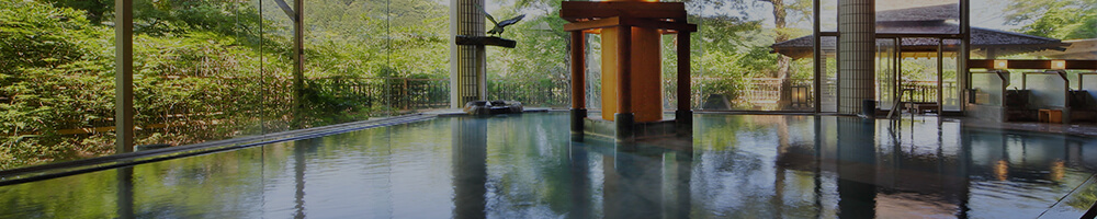 京都北部(天橋立,舞鶴,京丹後,宮津) 大浴場のある口コミ高評価の温泉旅館・ホテル