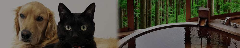 鼓滝駅 ペット（大型犬）と泊まれる口コミ高評価の温泉旅館・ホテル