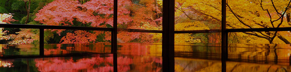 東日本 紅葉が楽しめる旅館・ホテル　注目ランキング