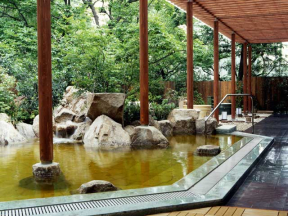 バーデと天然温泉　豊島園　庭の湯